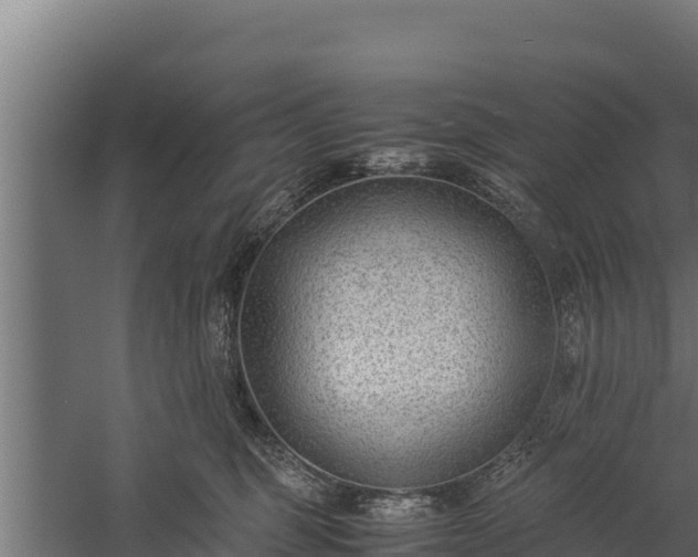 X0000060230375200511041237