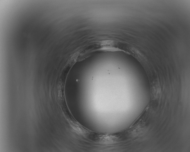 X0000060230379200511041237