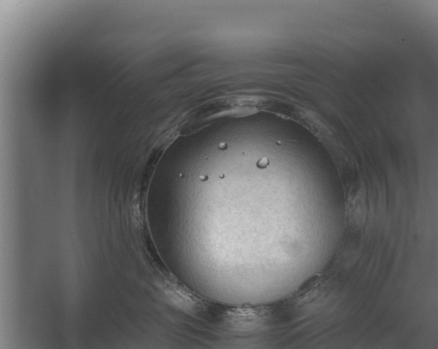 X0000060230381200511041237