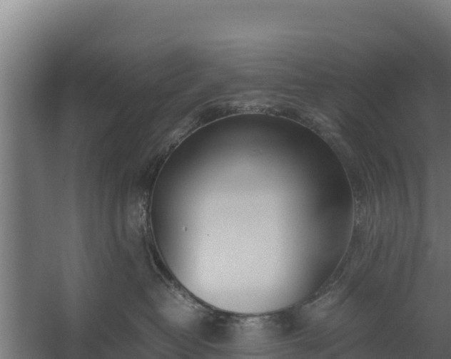 X0000060230382200511041237