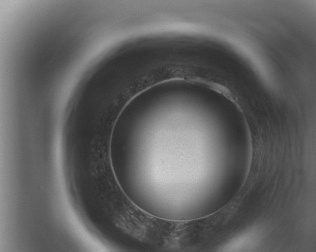 X0000060230383200511041237