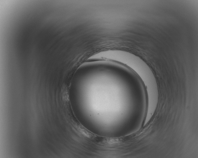 X0000060230384200511041237