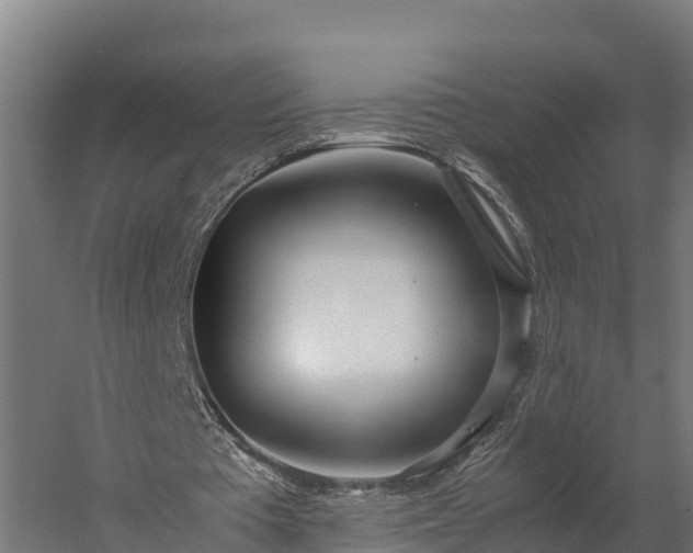 X0000060230385200511041236