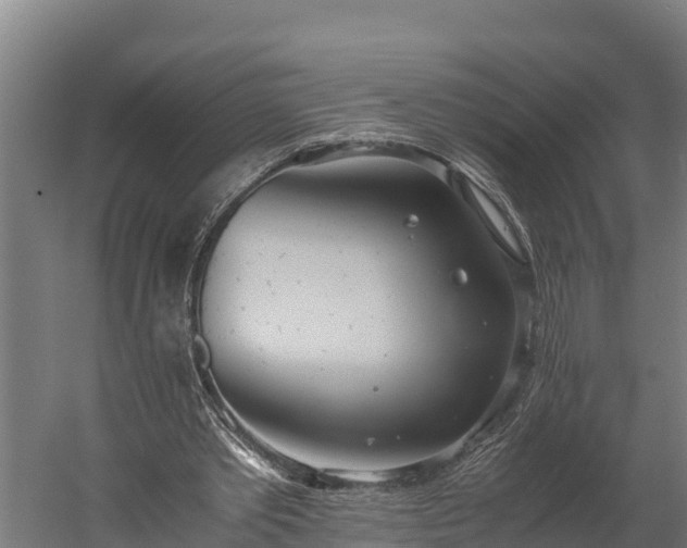 X0000060230389200511041236