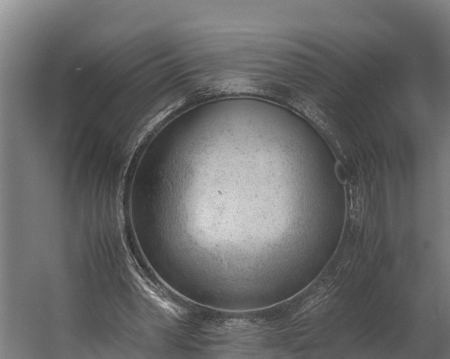 X0000060230390200511041236