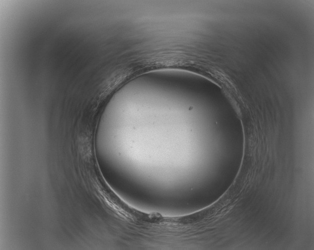 X0000060230393200511041236