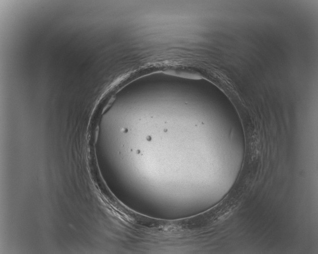 X0000060230395200511041236