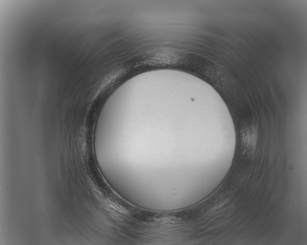 X0000060230396200511041236