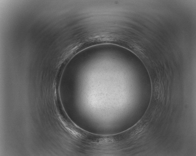 X0000060230398200511041236