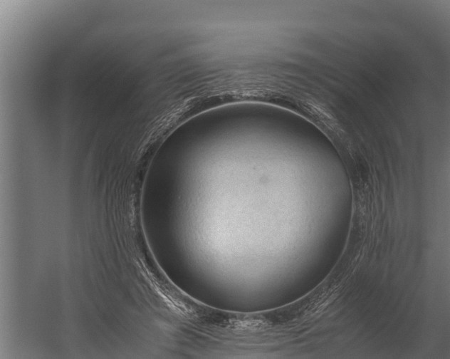 X0000060230401200511041236