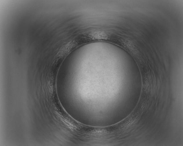 X0000060230402200511041236