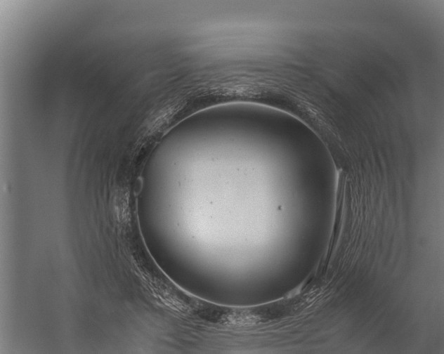 X0000060230403200511041236