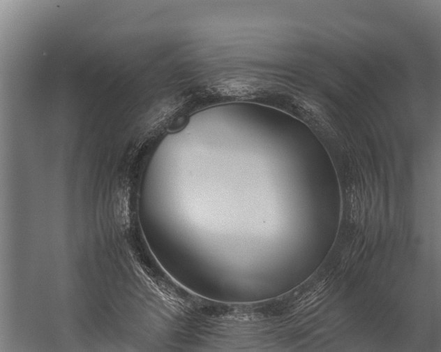 X0000060230404200511041236