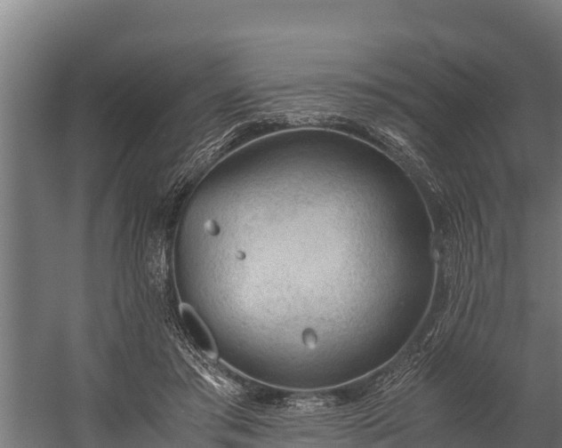 X0000060230405200511041236