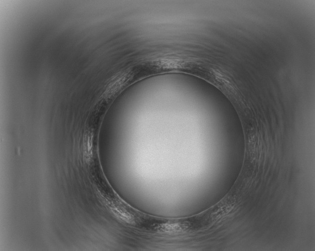 X0000060230406200511041236