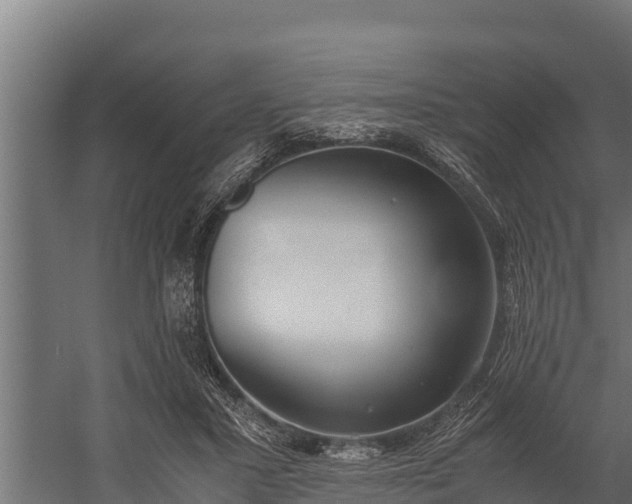 X0000060230407200511041236