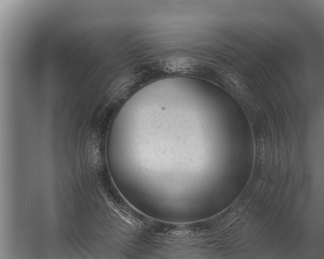 X0000060230408200511041236