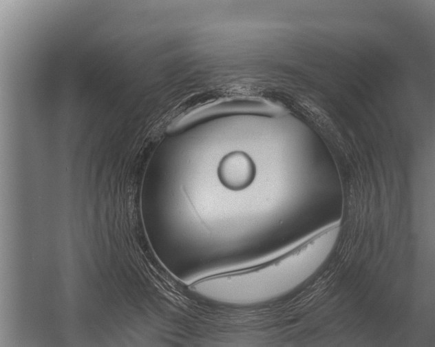 X0000060230409200511041236