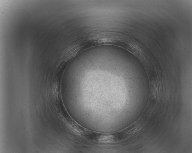 X0000060230410200511041236