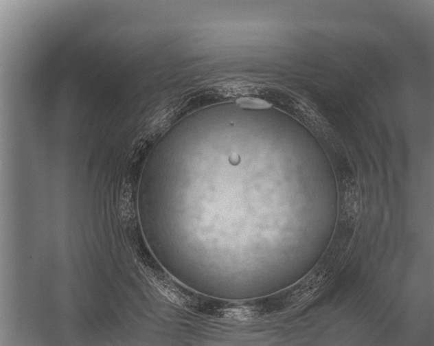 X0000060230411200511041236