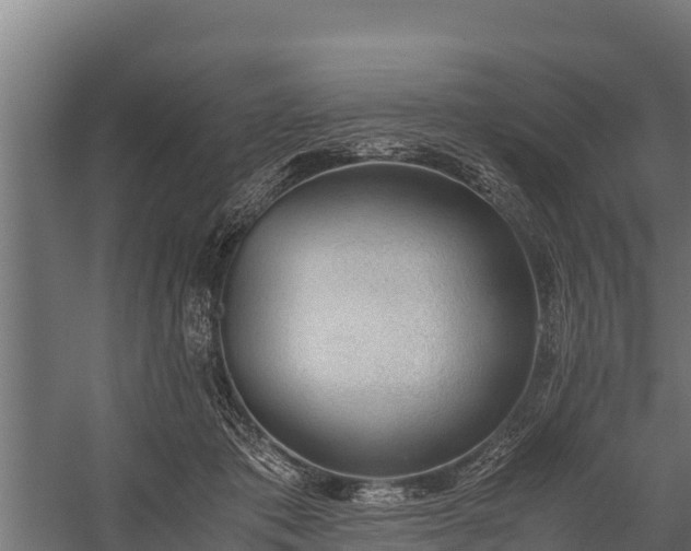 X0000060230413200511041236