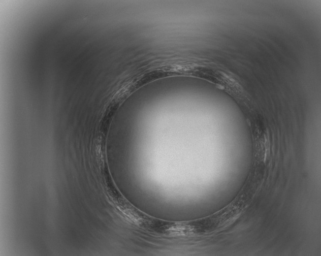 X0000060230415200511041236