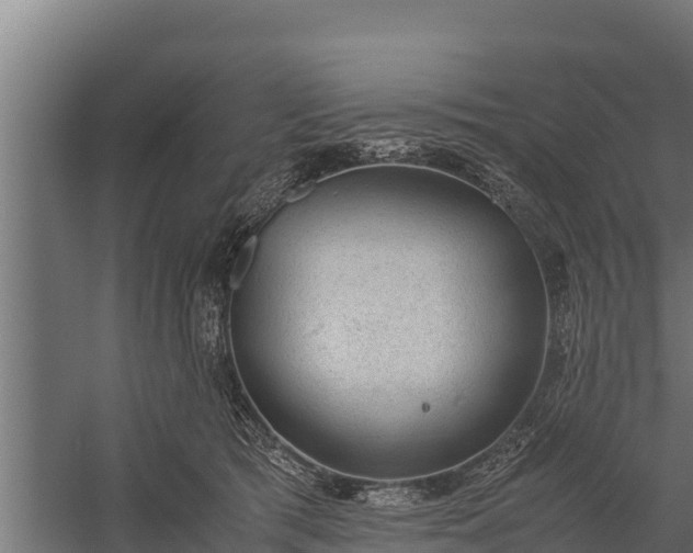 X0000060230417200511041236