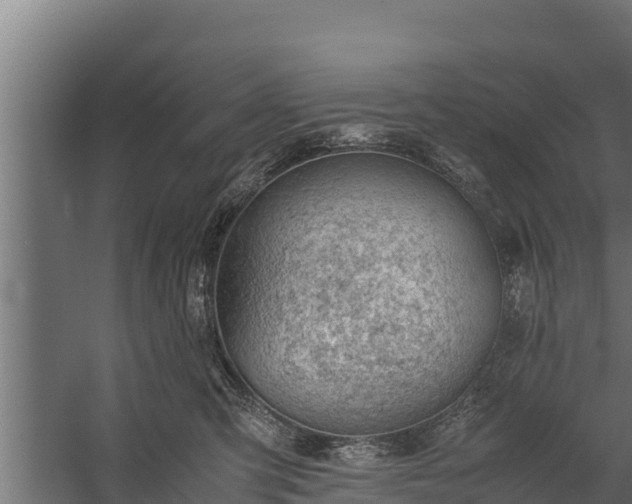 X0000060230423200511041236