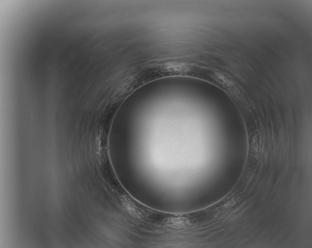 X0000060230424200511041235