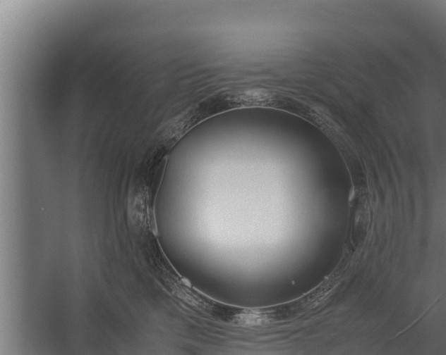 X0000060230425200511041235