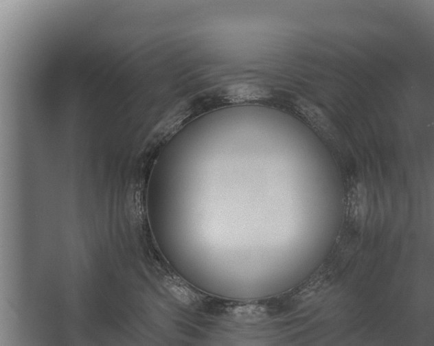 X0000060230426200511041235