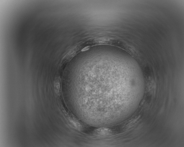 X0000060230427200511041235