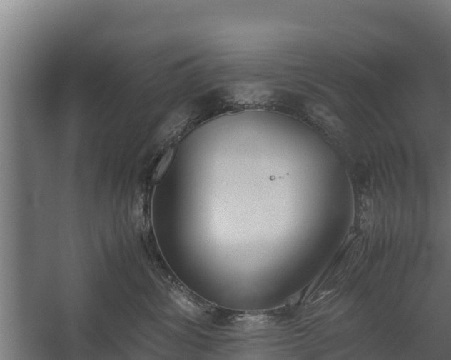 X0000060230428200511041235