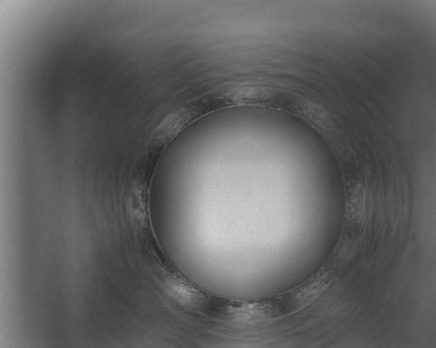 X0000060230430200511041235