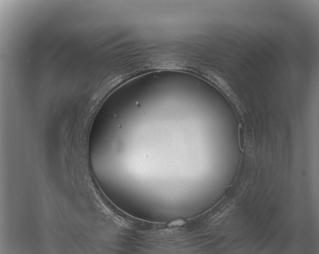 X0000060230433200511041235