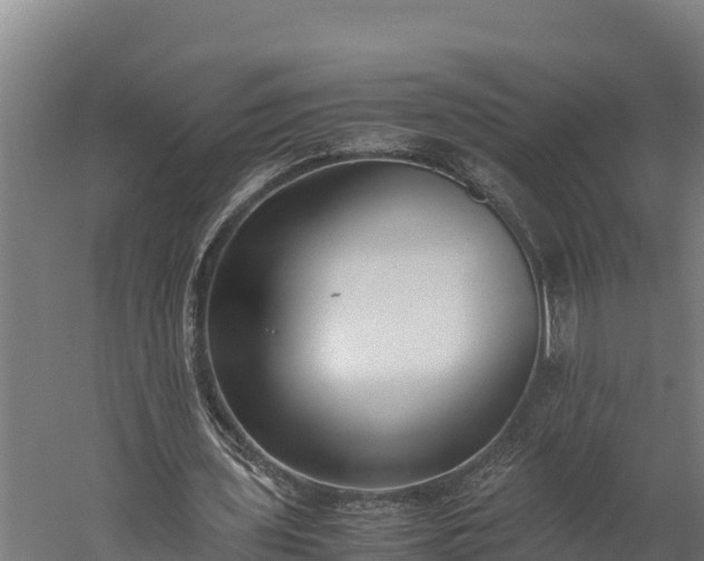 X0000060230435200511041235