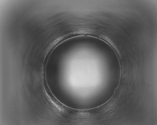 X0000060230437200511041235