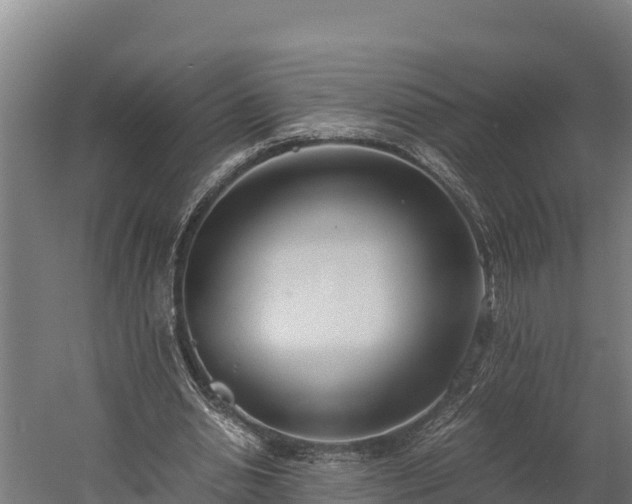 X0000060230438200511041235