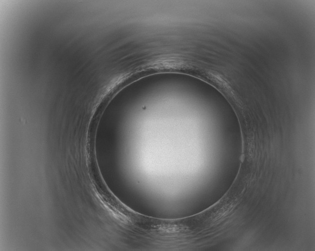 X0000060230439200511041235