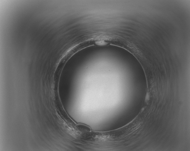 X0000060230440200511041235