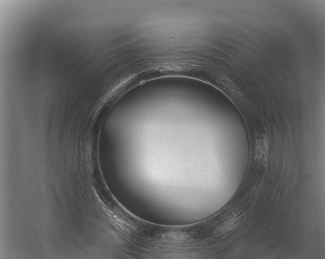 X0000060230444200511041235