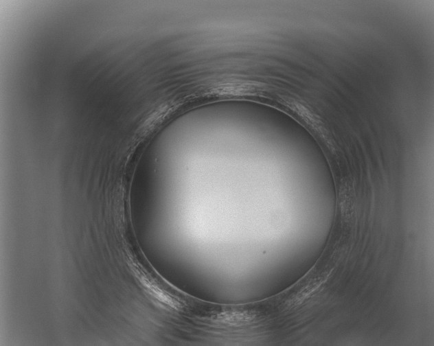 X0000060230445200511041235