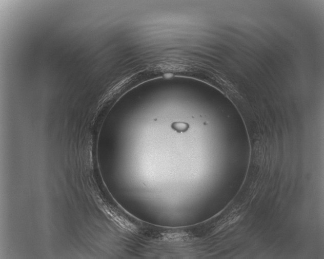 X0000060230446200511041235