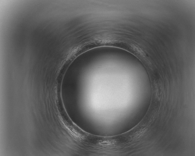 X0000060230447200511041235