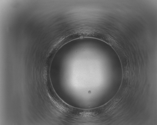 X0000060230448200511041235