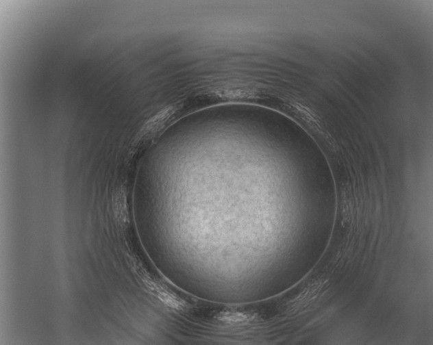 X0000060230453200511041235