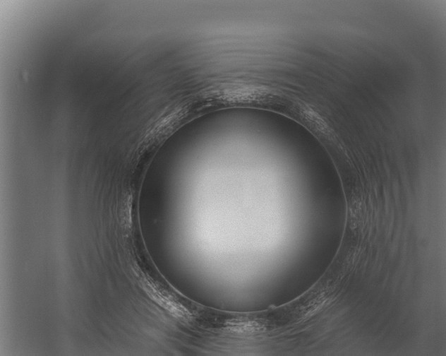 X0000060230454200511041235