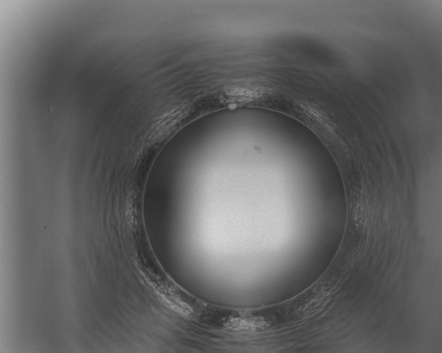 X0000060230455200511041235