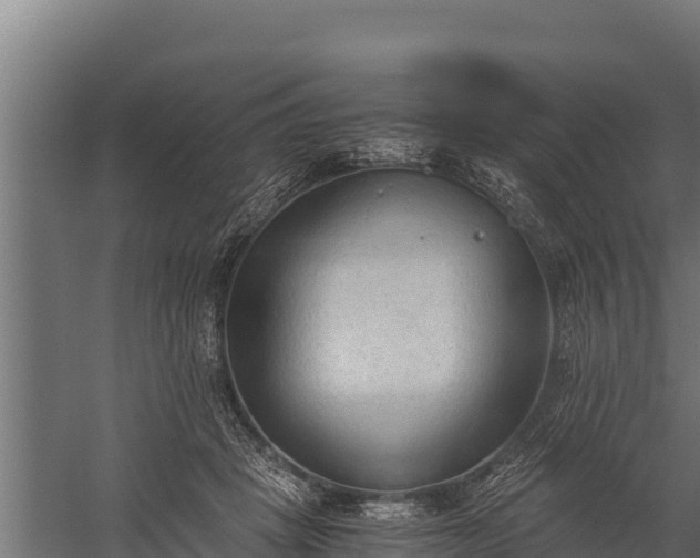 X0000060230457200511041235