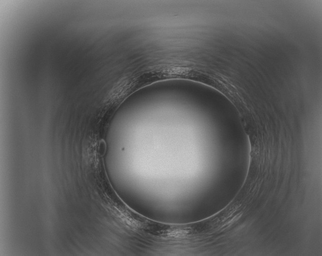 X0000060230462200511041235